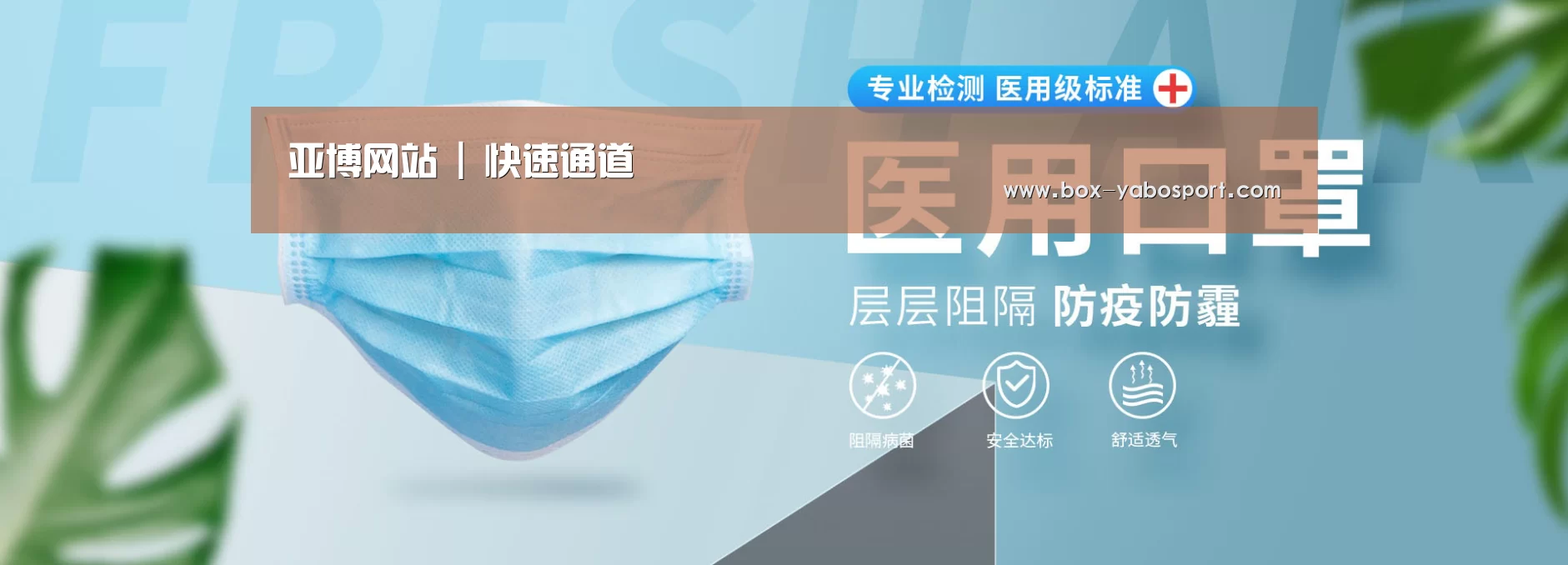 某某口罩防护用品有限公司