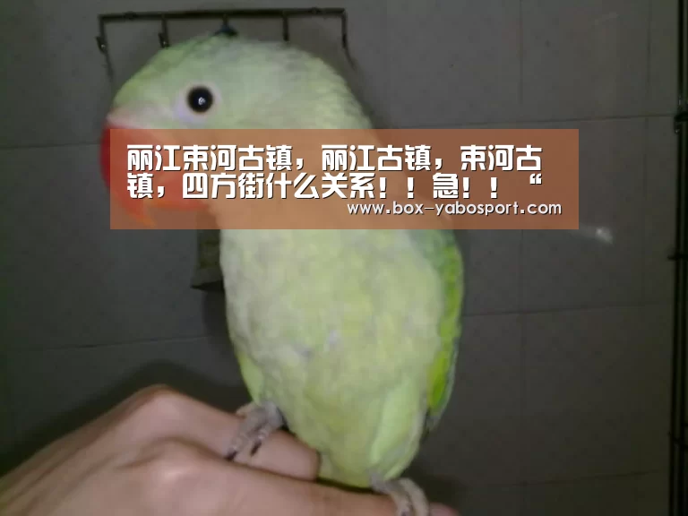亚博网站