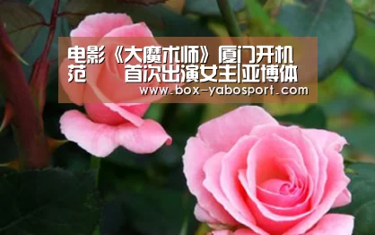 电影《大魔术师》厦门开机 范湉湉首次出演女主|亚博体育官网(图2) 亚博网站