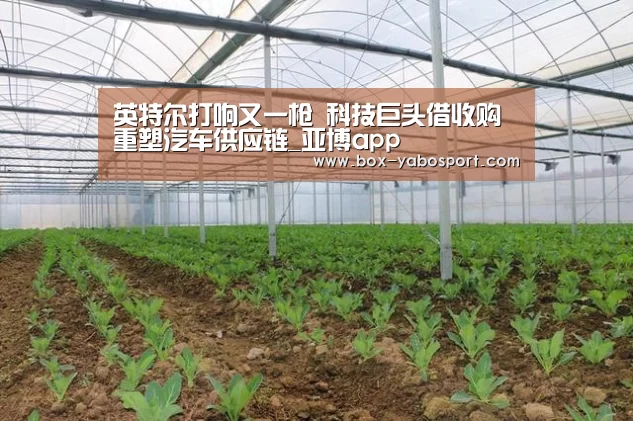英特尔打响又一枪 科技巨头借收购重塑汽车供应链_亚博app(图2) 亚博官网