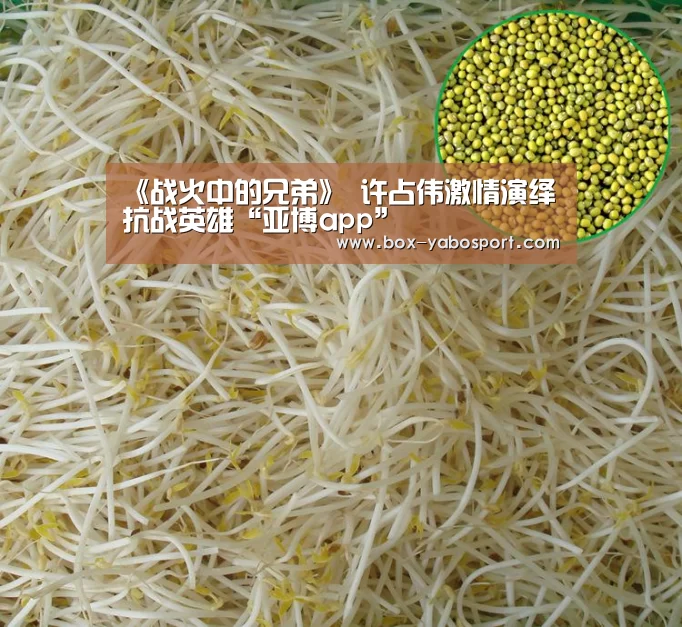亚博体育官网