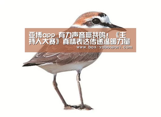 亚博网站